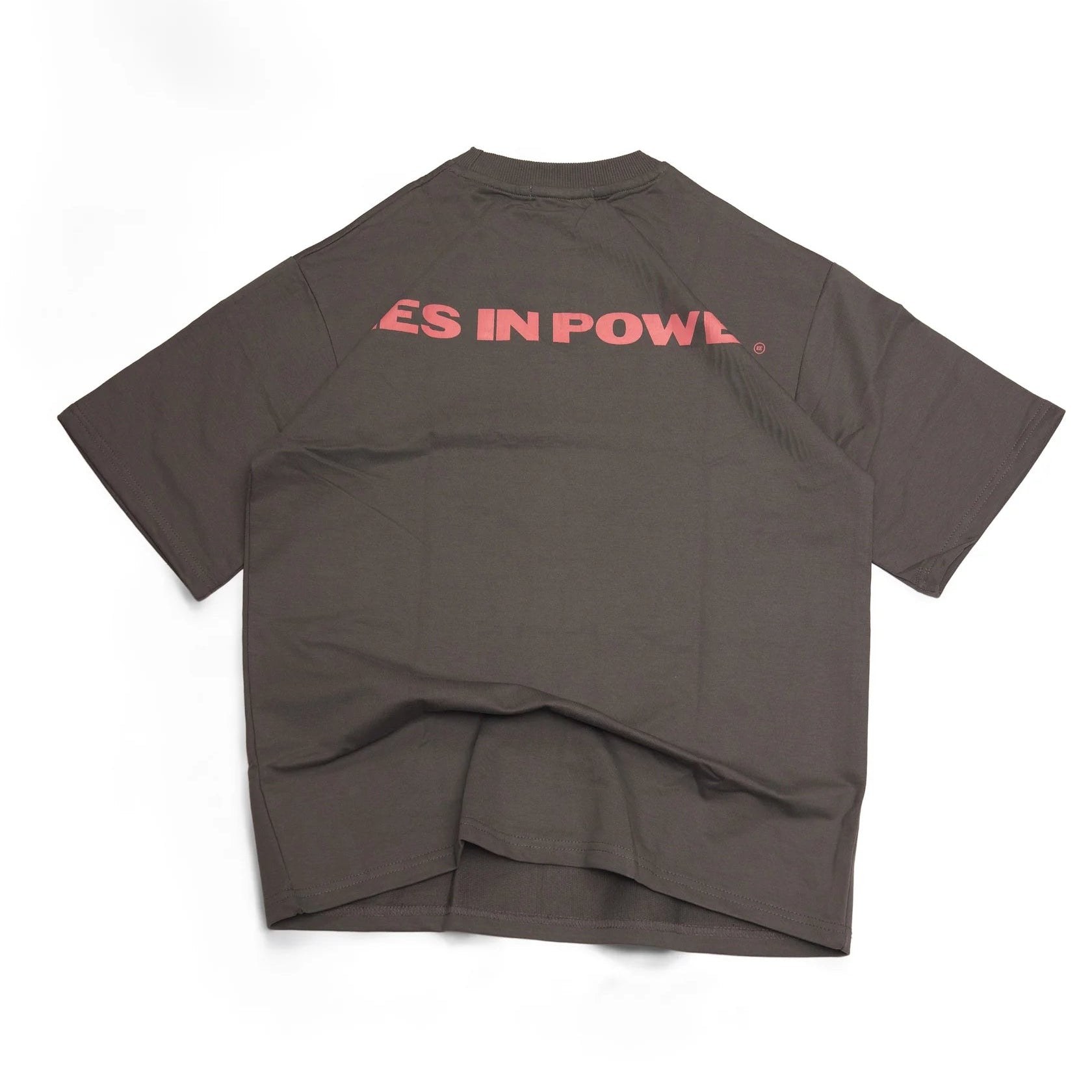 LIES IN POWER T-SHIRT IN GREY