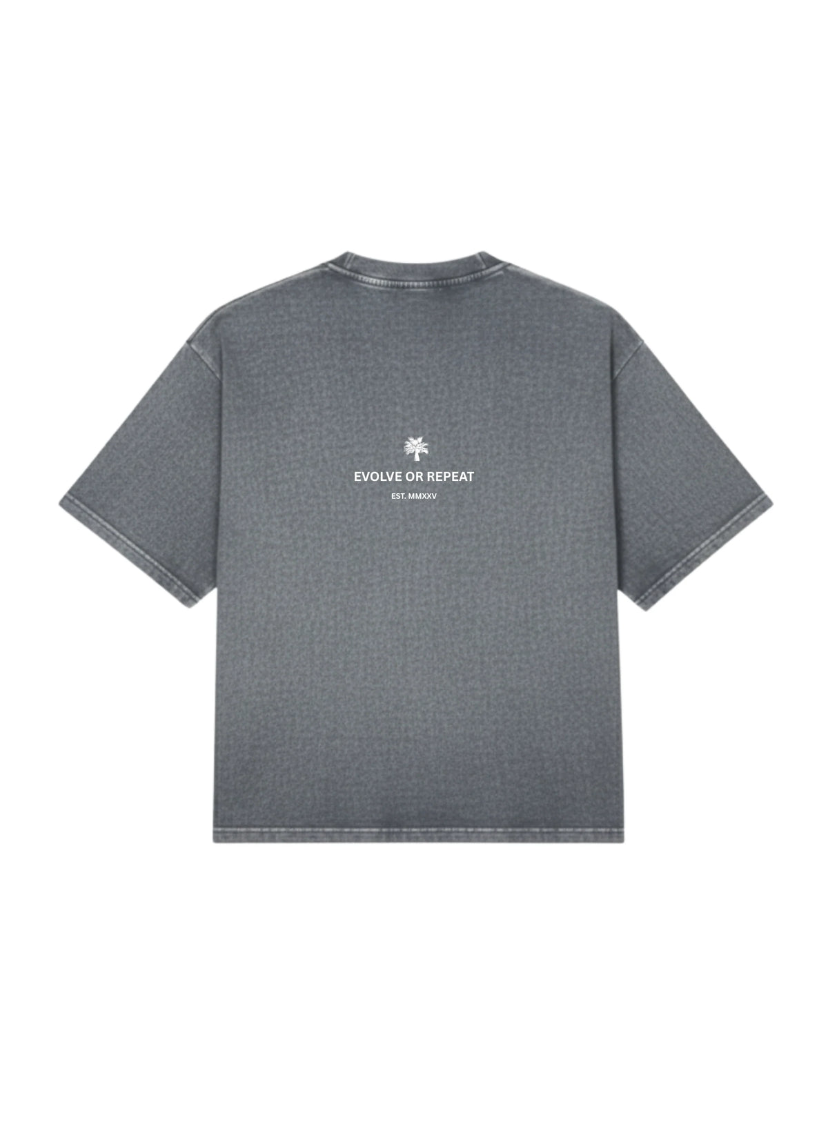 Stonewashed gray basic T-shirt with back graphic text, crew neck and short sleeves