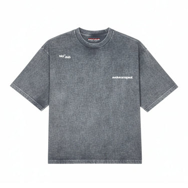 BASIC T-SHIRT IN STONEWASH