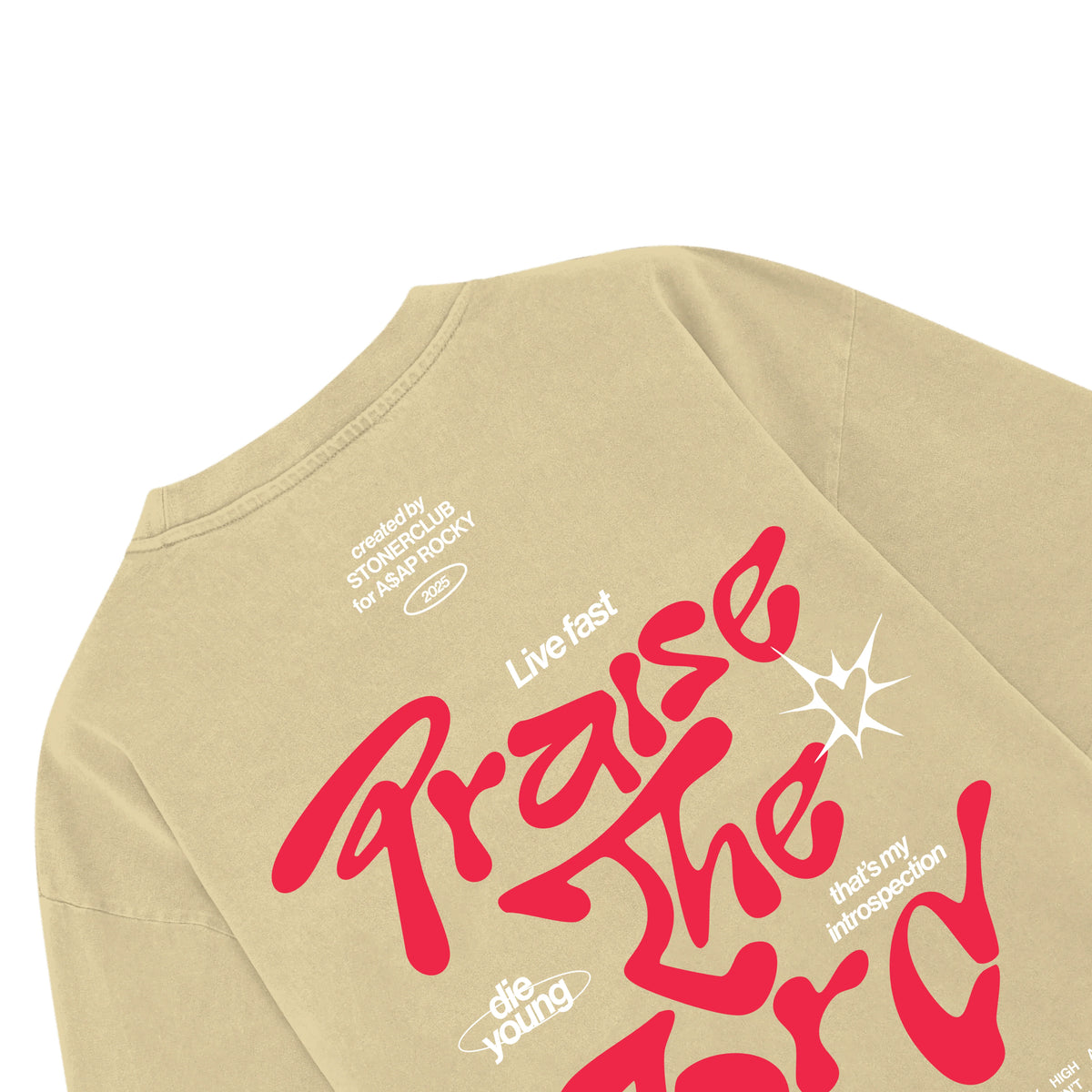Tan graphic T-shirt back close-up with large red 'Praise the Lord' lettering and stars.