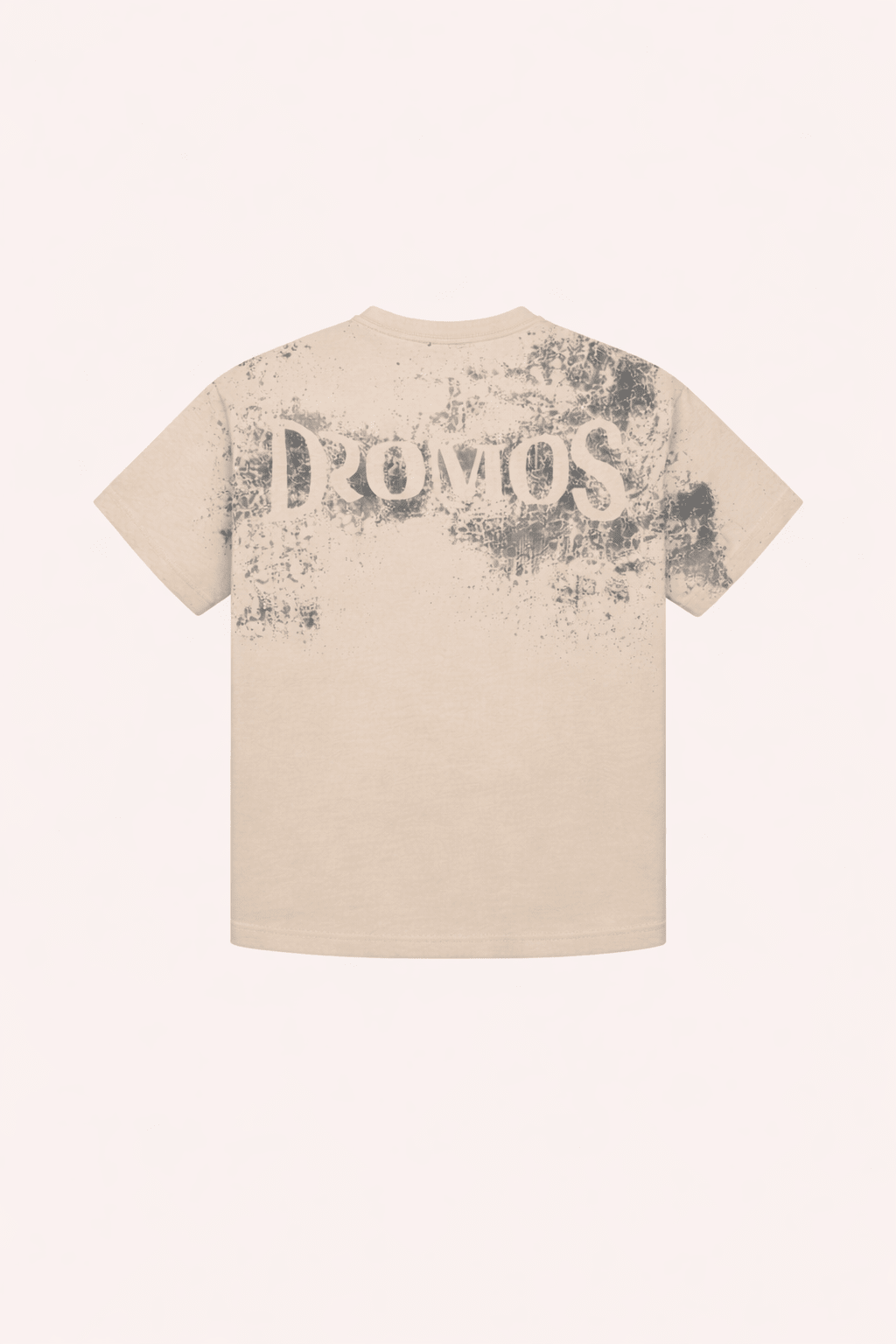 Pebble beige graphic T-shirt with distressed print on front, crew neck, short sleeves